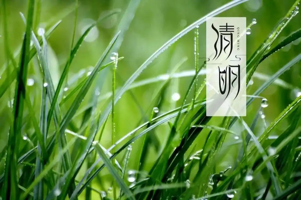 Qingming fesztivál ünnepi értesítés