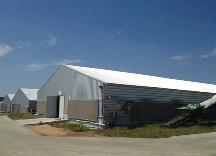 Steel Structure Customized Poultry House